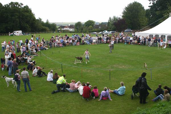 dogs1.jpg - Fun Dog Show