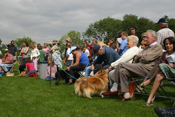 dogs3.jpg - Spectators