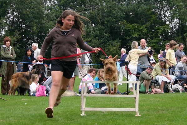 dogs4.jpg - Jumping for fun