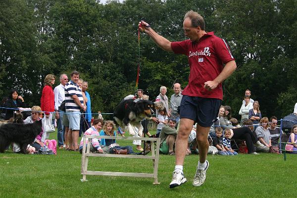 dogs5.jpg - Jumping for fun