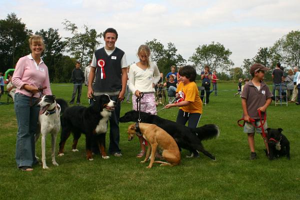 dogs8.jpg - The five prizewinners