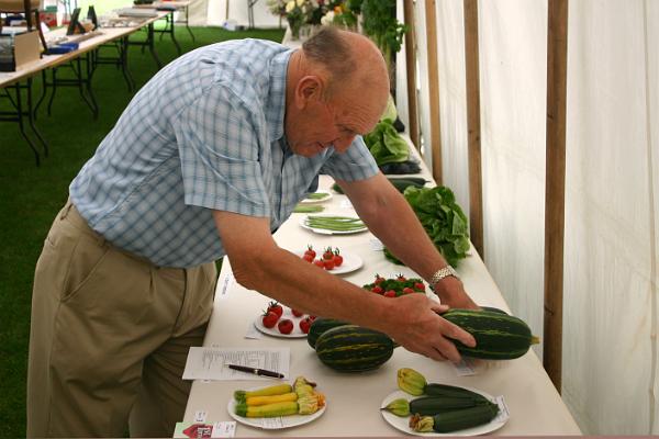 show5.jpg - Judging the entries