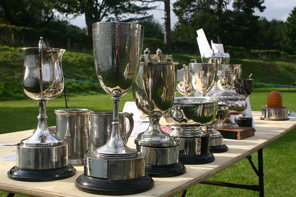 show7.jpg - Silver cups