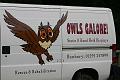 owls1