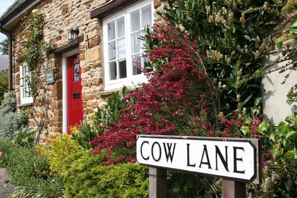 MickBonwickswinningphoto.jpg - Mick Bonwick's prizewinning photo