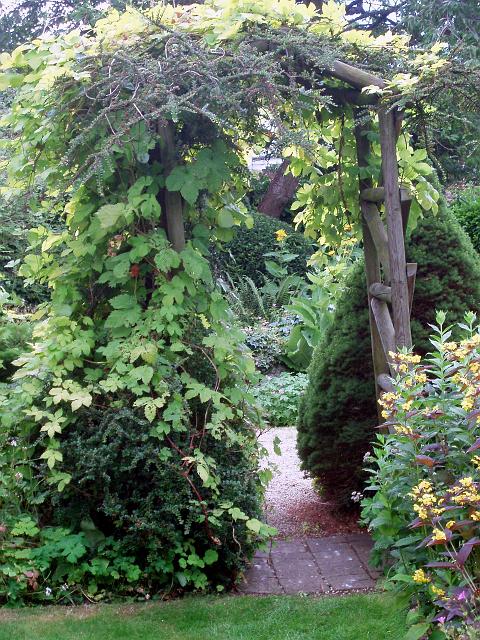 garden5.jpg - OLYMPUS DIGITAL CAMERA         