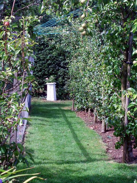 garden9.jpg - OLYMPUS DIGITAL CAMERA         