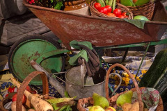 Harvest Display 2021