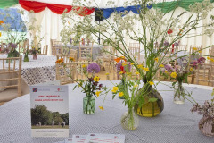 Lord's Taverners Cricket Match