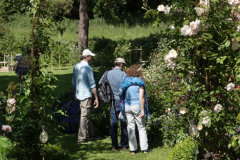 Open Gardens & Allotments 2024